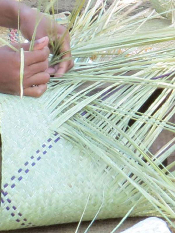 15. The lining (inside) of plaited sedges gives the basket its shape, strength and durability. It is an excellent material for crafts. Click on the image for more information about this material.