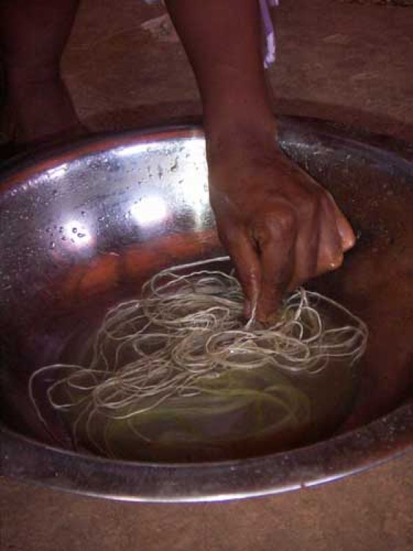 Step 4. The sisal fibres are rinsed in pure water. 