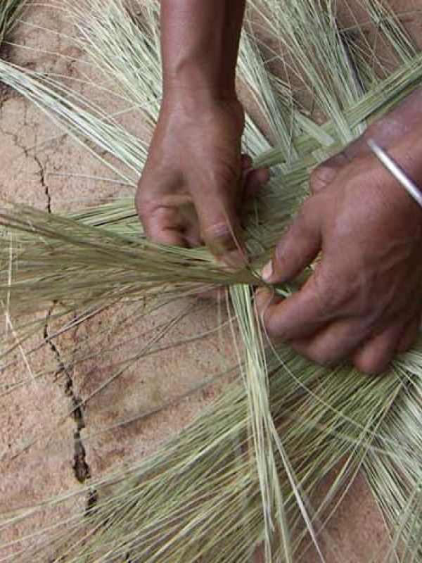 4. Shown here is plaiting of Haravola without including other natural fibres.